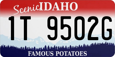 ID license plate 1T9502G