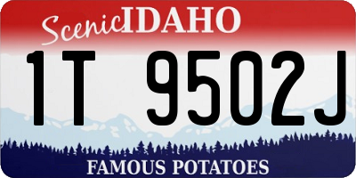 ID license plate 1T9502J