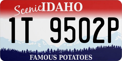 ID license plate 1T9502P