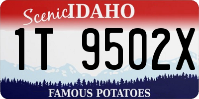 ID license plate 1T9502X