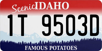 ID license plate 1T9503D