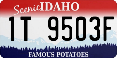 ID license plate 1T9503F