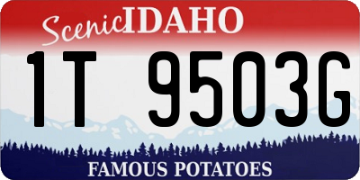 ID license plate 1T9503G