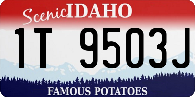 ID license plate 1T9503J