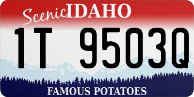 ID license plate 1T9503Q
