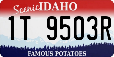 ID license plate 1T9503R