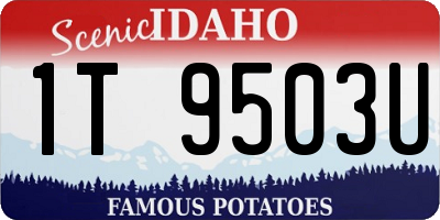 ID license plate 1T9503U