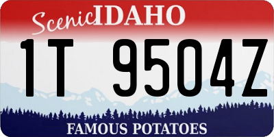 ID license plate 1T9504Z