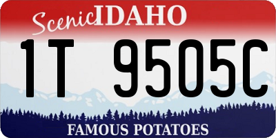 ID license plate 1T9505C