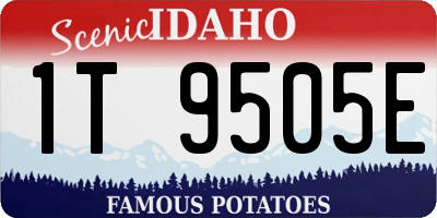 ID license plate 1T9505E