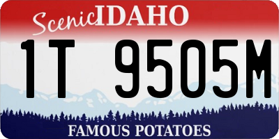 ID license plate 1T9505M