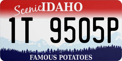 ID license plate 1T9505P