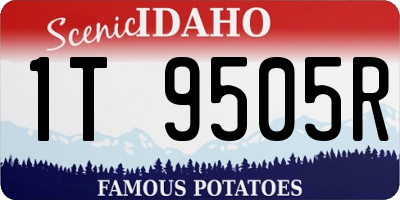 ID license plate 1T9505R