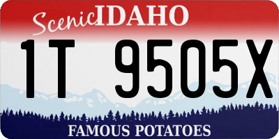 ID license plate 1T9505X