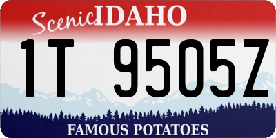 ID license plate 1T9505Z