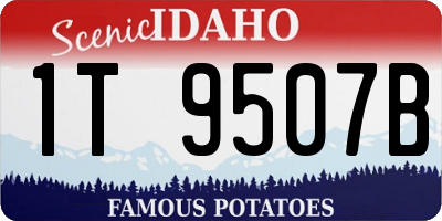 ID license plate 1T9507B