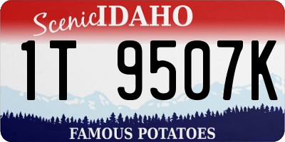 ID license plate 1T9507K