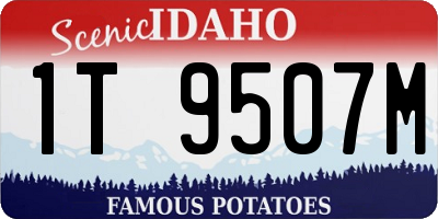 ID license plate 1T9507M
