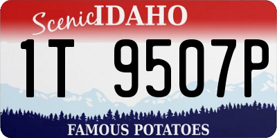 ID license plate 1T9507P