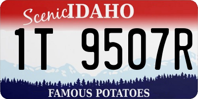 ID license plate 1T9507R