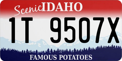 ID license plate 1T9507X
