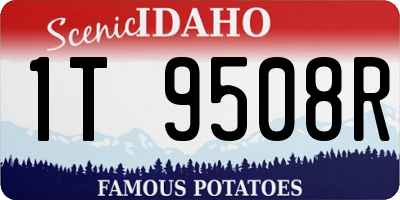 ID license plate 1T9508R