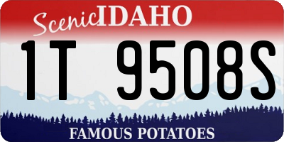 ID license plate 1T9508S