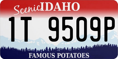 ID license plate 1T9509P