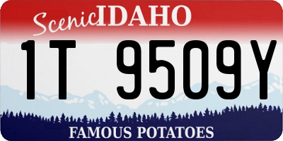 ID license plate 1T9509Y