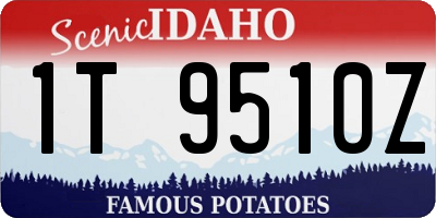 ID license plate 1T9510Z
