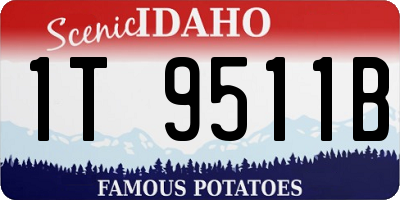 ID license plate 1T9511B