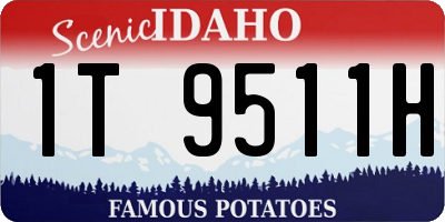 ID license plate 1T9511H