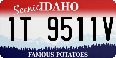 ID license plate 1T9511V