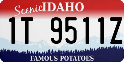 ID license plate 1T9511Z