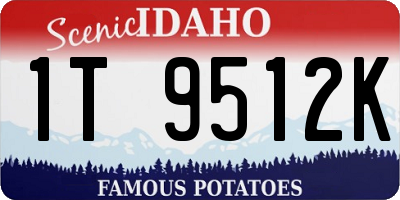 ID license plate 1T9512K