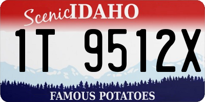 ID license plate 1T9512X