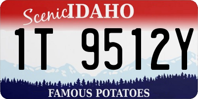 ID license plate 1T9512Y