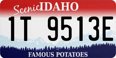 ID license plate 1T9513E
