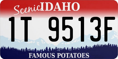 ID license plate 1T9513F