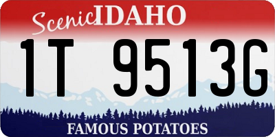 ID license plate 1T9513G