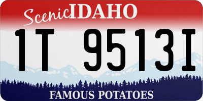 ID license plate 1T9513I
