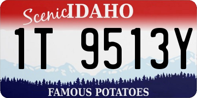 ID license plate 1T9513Y