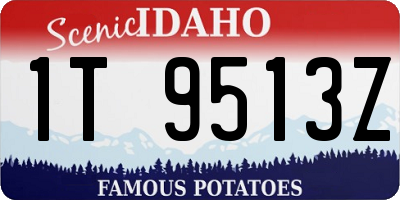 ID license plate 1T9513Z