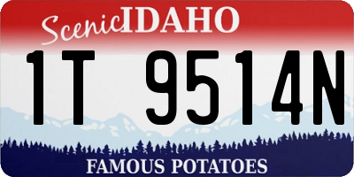 ID license plate 1T9514N