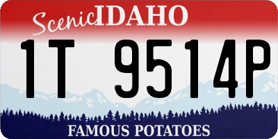 ID license plate 1T9514P