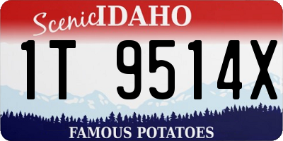 ID license plate 1T9514X