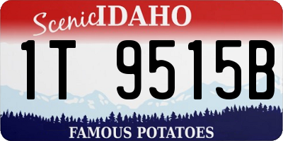 ID license plate 1T9515B