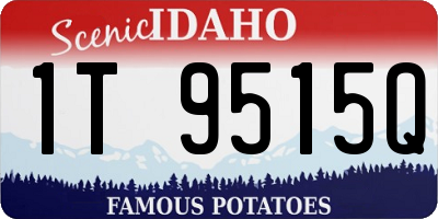 ID license plate 1T9515Q