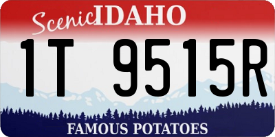 ID license plate 1T9515R