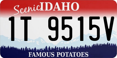 ID license plate 1T9515V